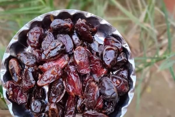 تصویر 4 از خرید خرما صادراتی کبکاب + قیمت عالی باکیفیت